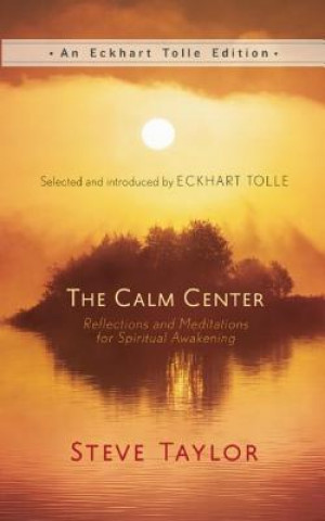 Knjiga Calm Center Steve Taylor