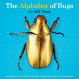 Kniha Alphabet of Bugs Valerie Gates