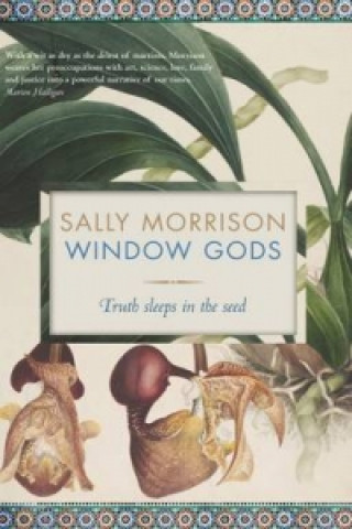 Книга Window Gods Sally Morrison