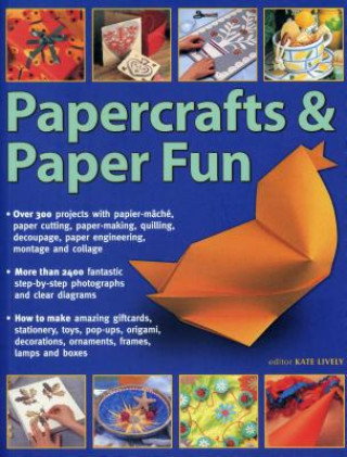 Book Papercrafts & Paper Fun Lively Kate