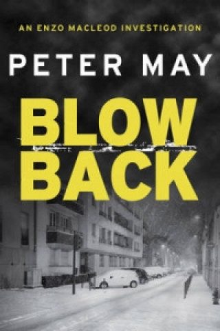 Könyv Blowback Peter May