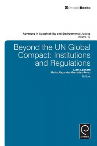 Book Beyond the UN Global Compact Liam Leonard