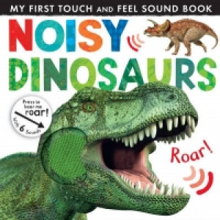Kniha Noisy Dinosaurs Jonathan Litton