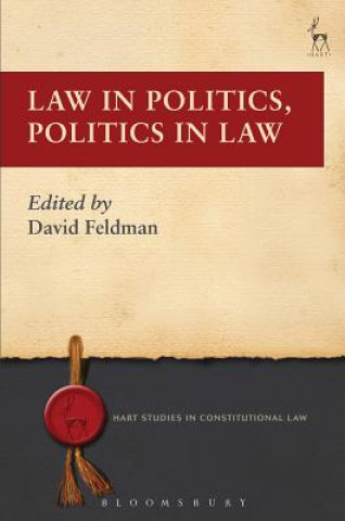 Book Law in Politics, Politics in Law David Feldman