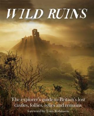 Kniha Wild Ruins Dave Hamilton