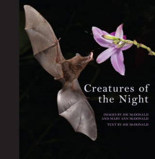 Kniha Creatures of the Night Joe McDonald