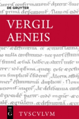 Buch Aeneis Vergil