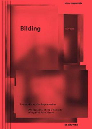 Kniha Bilding Gabriele Rothemann