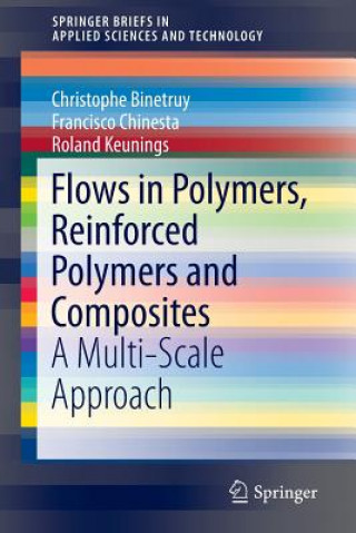 Kniha Flows in Polymers, Reinforced Polymers and Composites Christophe Binetruy