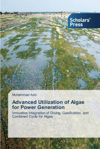 Könyv Advanced Utilization of Algae for Power Generation Aziz Muhammad