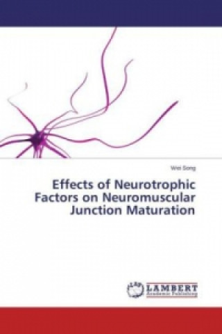 Kniha Effects of Neurotrophic Factors on Neuromuscular Junction Maturation Wei Song