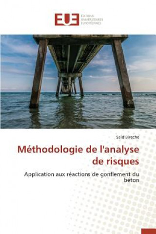 Книга M thodologie de l'Analyse de Risques Bireche-S