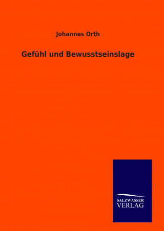 Knjiga Gefühl und Bewusstseinslage Johannes Orth