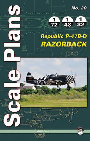 Kniha Republic P-47b-D Razorback Dariusz Karnas