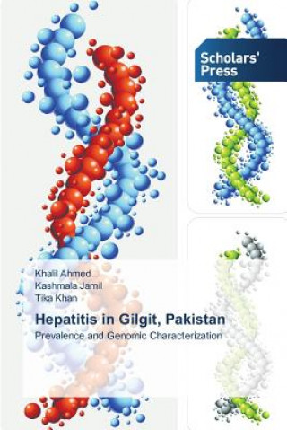 Książka Hepatitis in Gilgit, Pakistan Ahmed Khalil