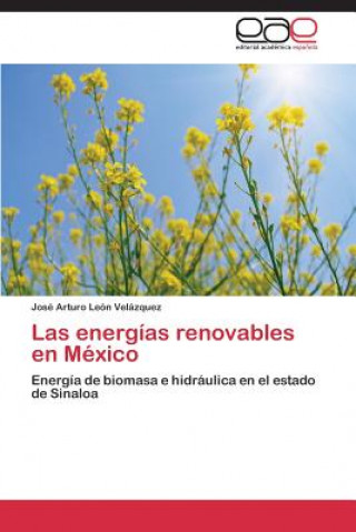 Kniha energias renovables en Mexico Leon Velazquez Jose Arturo