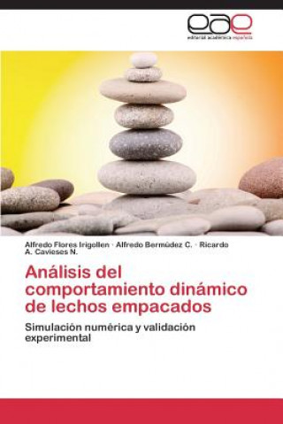 Kniha Analisis del comportamiento dinamico de lechos empacados Flores Irigollen Alfredo