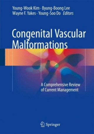 Könyv Congenital Vascular Malformations Young-Wook Kim