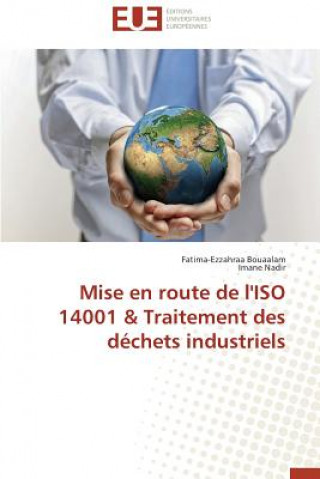 Könyv Mise En Route de l'Iso 14001 Traitement Des D chets Industriels 