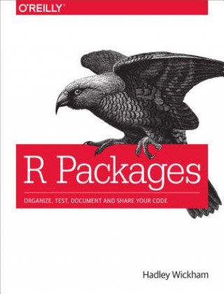 Könyv R Packages Hadley Wickham