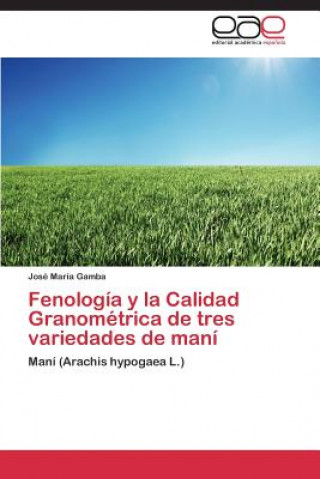 Carte Fenologia y la Calidad Granometrica de tres variedades de mani Gamba Jose Maria