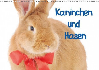 Calendar / Agendă Kaninchen und Hasen (Wandkalender immerwährend DIN A3 quer) Elisabeth Stanzer