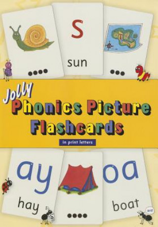 Könyv Jolly Phonics Picture Flash Cards Sara Wernham