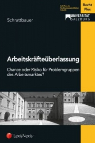 Книга Arbeitskräfteüberlassung Birgit Schrattbauer