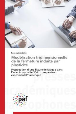 Könyv Modelisation Tridimensionnelle de la Fermeture Induite Par Plasticite Fiordalisi-S
