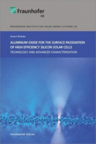 Buch Aluminum Oxide for the Surface Passivation of High Efficiency Silicon Solar Cells. Armin Richter