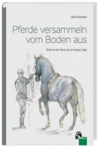 Könyv Pferde versammeln vom Boden aus Ulrich Schnitzer