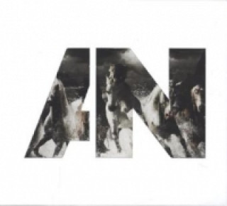 Audio Run, 1 Audio-CD Awolnation