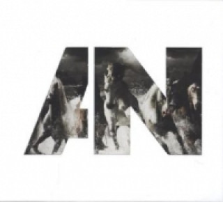 Hanganyagok Run, 1 Audio-CD Awolnation