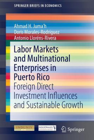 Kniha Labor Markets and Multinational Enterprises in Puerto Rico Ahmad H. Juma'h