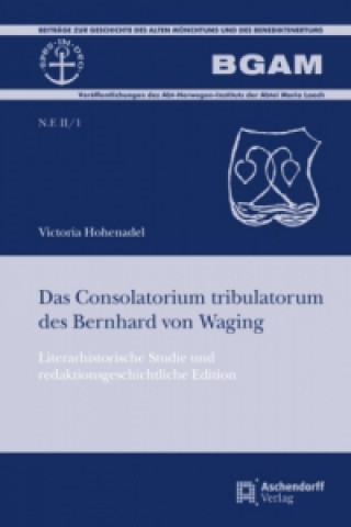 Buch Das Consolatorium tribulatorum des Bernhard von Waging Victoria Hohenadel