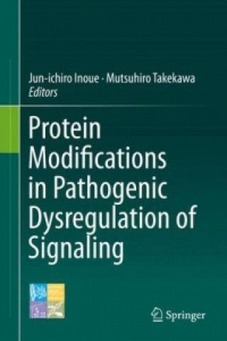 Könyv Protein Modifications in Pathogenic Dysregulation of Signaling Jun-ichiro Inoue