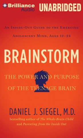 Kniha Brainstorm Daniel J Siegel