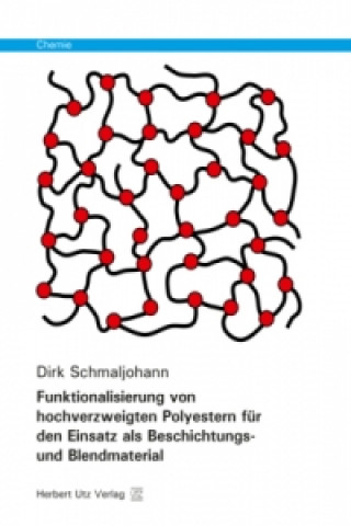 Kniha Funktionalisierung von hochverzweigten Polyestern für den Einsatz als Beschichtungs- und Blendmaterial Dirk Schmaljohann