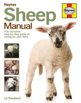 Książka Sheep Manual Shankland Liz