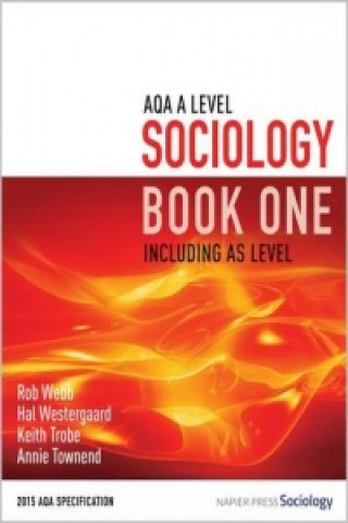 Könyv AQA A Level Sociology Book One Including AS Level Rob Webb