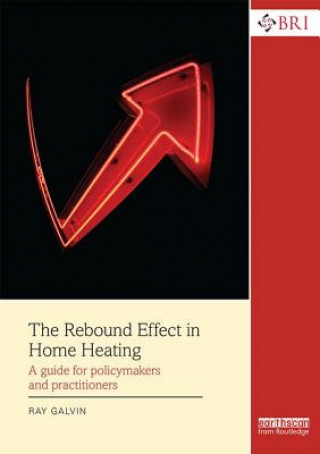 Βιβλίο Rebound Effect in Home Heating Ray Galvin