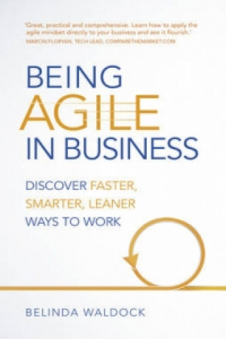 Buch Being Agile in Business Belinda Waldock