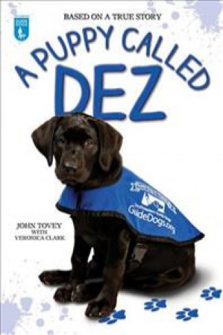Könyv Puppy Called Dez John Tovey