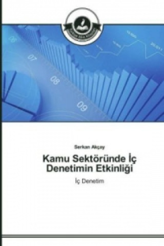 Книга Kamu Sektoerunde &#304;c Denetimin Etkinli&#287;i Serkan Akçay