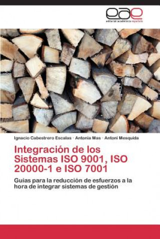 Buch Integracion de los Sistemas ISO 9001, ISO 20000-1 e ISO 7001 Cabestrero Escalas Ignacio