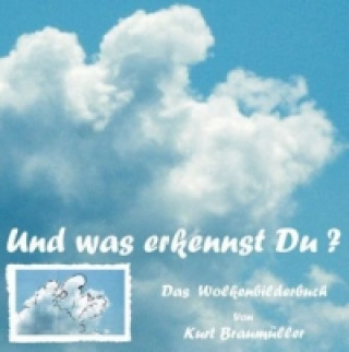 Kniha Das WolkenBilderBuch Kurt Braumüller