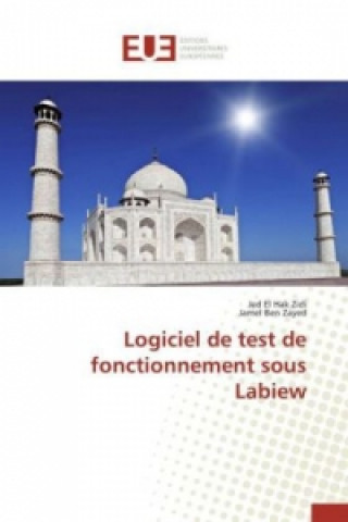 Buch Logiciel de test de fonctionnement sous Labiew Jed El Hak Zidi