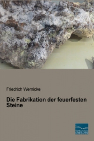 Könyv Die Fabrikation der feuerfesten Steine Friedrich Wernicke