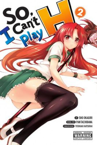Kniha So, I Can't Play H, Vol. 2 Pan Tachibana