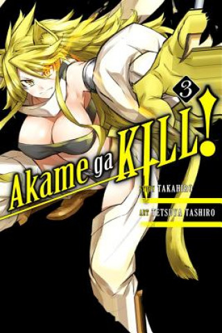 Kniha Akame ga KILL!, Vol. 3 Takahiro